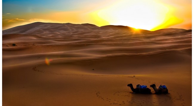 taxi-service-in-jaisalmer